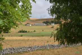 Horizon Aubrac Laguiole